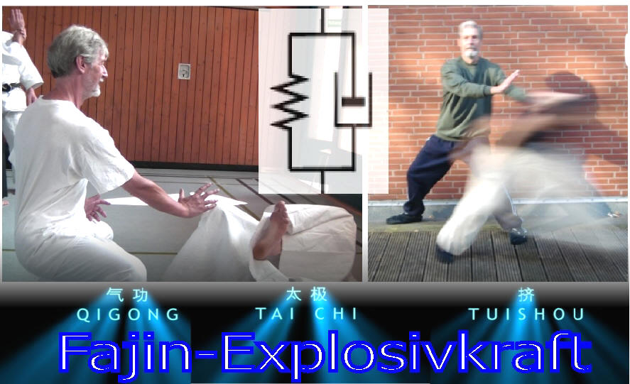 Fajin-Energetik im realistischen Einsatz beim Partnertraining auf Seminaren mit Dr. Langhoff